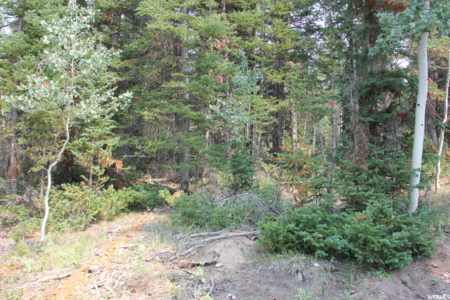 5167 Cougar Ln, Kamas, UT 84036 — photo 10