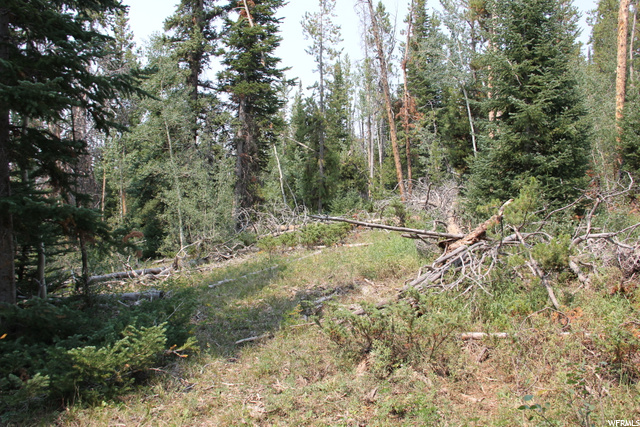 5167 Cougar Ln, Kamas, UT 84036 — photo 6