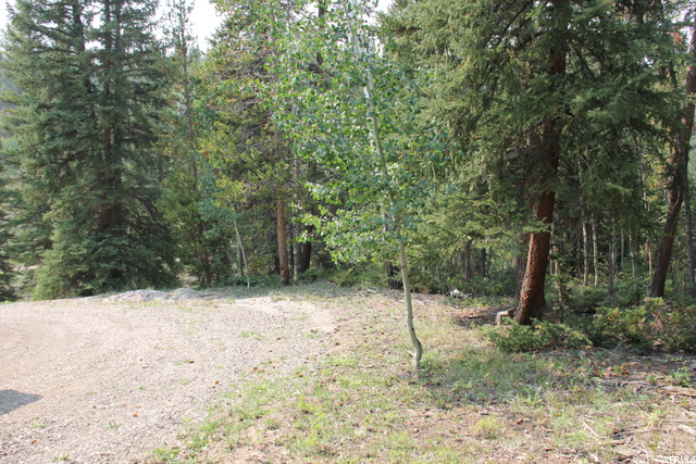5167 Cougar Ln, Kamas, UT 84036 — photo 11