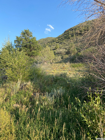 652 Gristmill Ln, Kamas, UT 84036 — photo 2