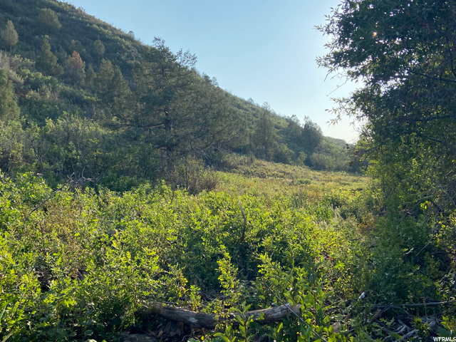 652 Gristmill Ln, Kamas, UT 84036 — photo 5
