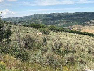 18 Skyview Drive, Wanship, UT 84017 — photo 6