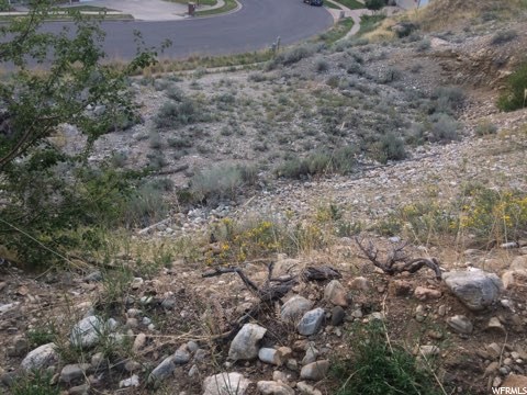1331 E Skyline Dr, Bountiful, UT 84010 — photo 7