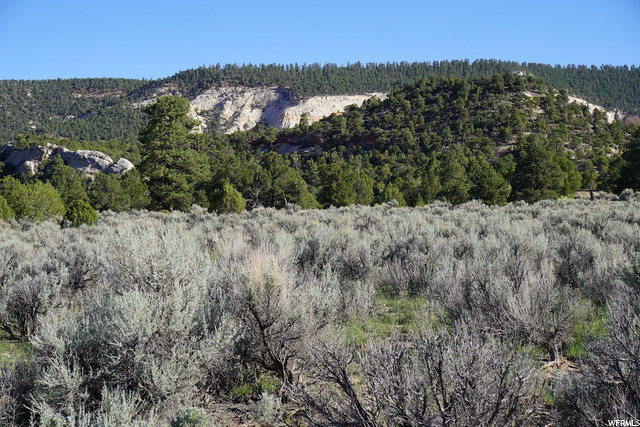 1002 S 810 East St E, Grover, UT 84773 — photo 3