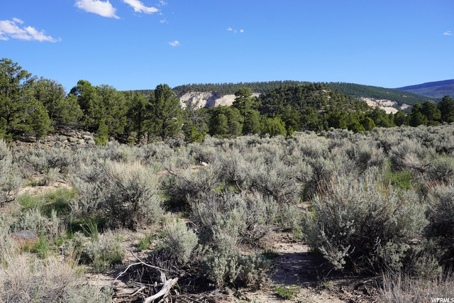1002 S 810 East St E, Grover, UT 84773 — photo 2