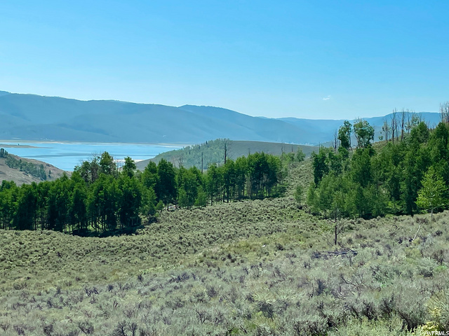 #52, Scofield, UT 84526 — photo 12