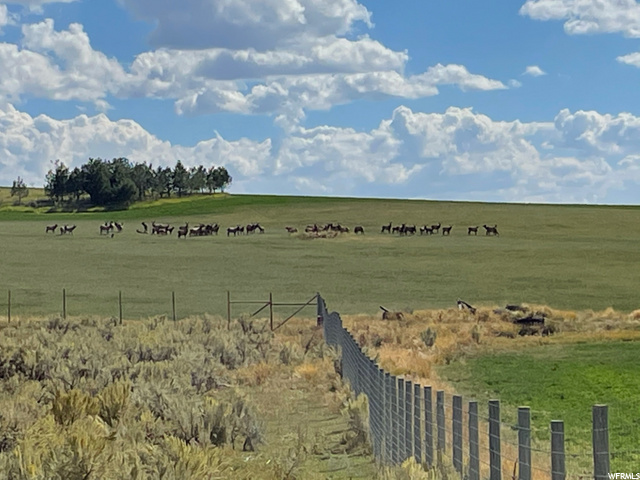 #2, Cokeville, WY 83114 — photo 2