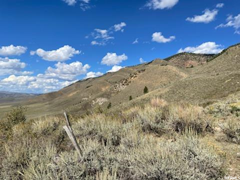 #2, Cokeville, WY 83114 — photo 7