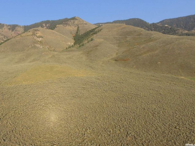 #2, Cokeville, WY 83114 — photo 5