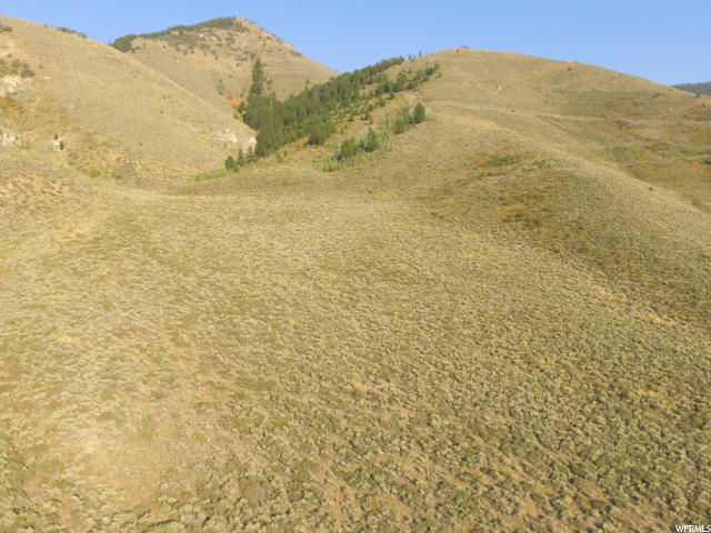 #2, Cokeville, WY 83114 — photo 4