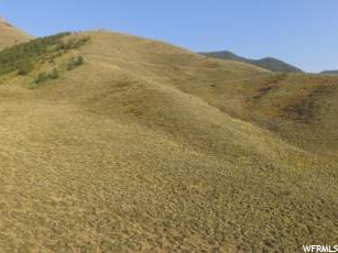 #2, Cokeville, WY 83114 — photo 6