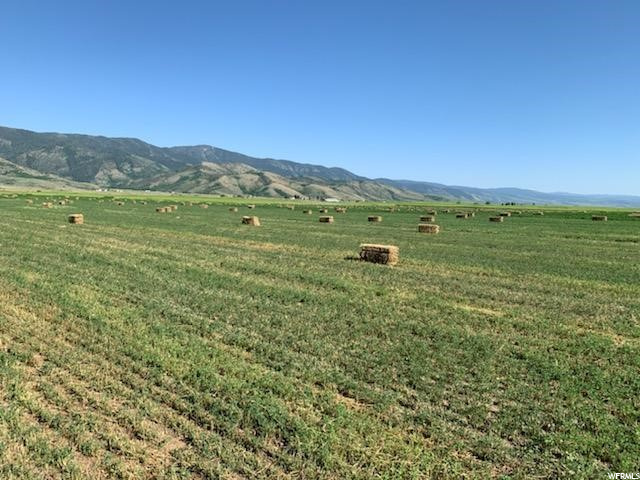 #4, Grace, ID 83241 — photo 3
