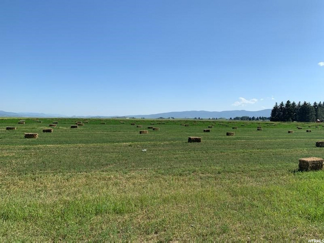 #8, Grace, ID 83241 — photo 4