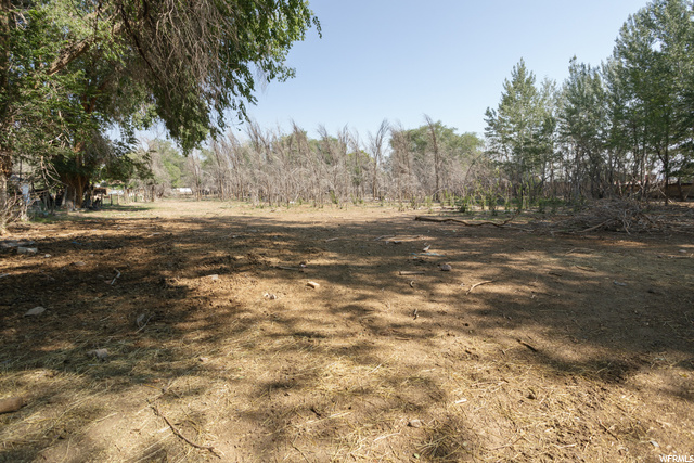 350 E 100 S, Elsinore, UT 84724 — photo 3