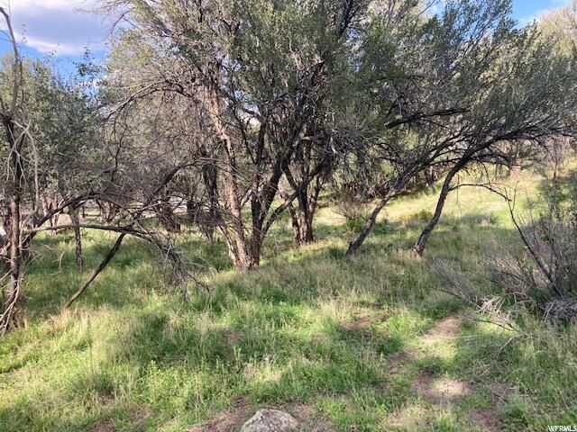 200 W 325 S, Pine Valley, UT 84781 — photo 9