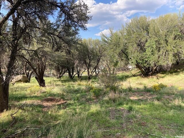 200 W 325 S, Pine Valley, UT 84781 — photo 4