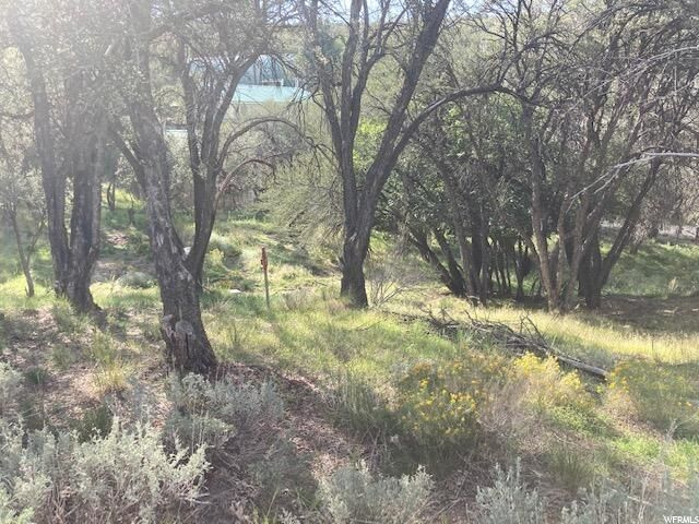 200 W 325 S, Pine Valley, UT 84781 — photo 2