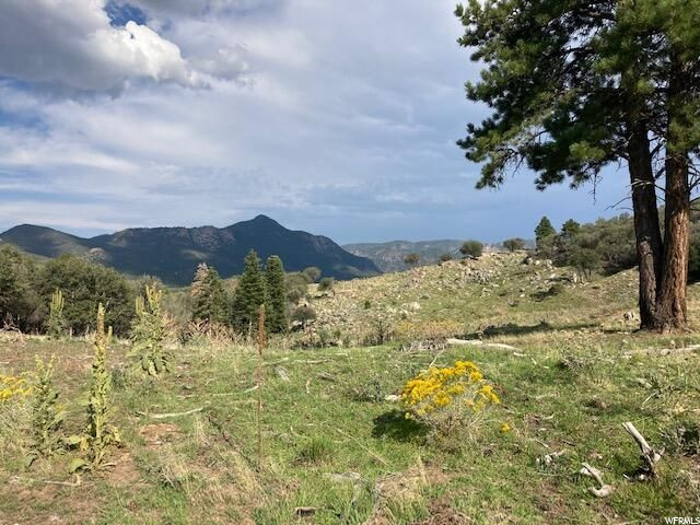 200 W 325 S, Pine Valley, UT 84781 — photo 10