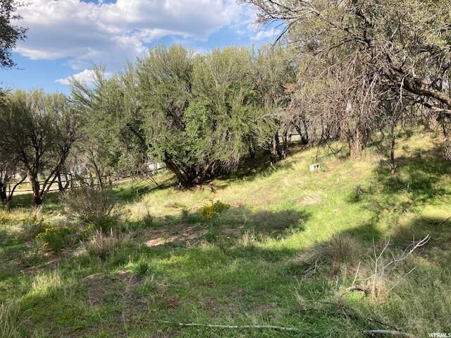 200 W 325 S, Pine Valley, UT 84781 — photo 3