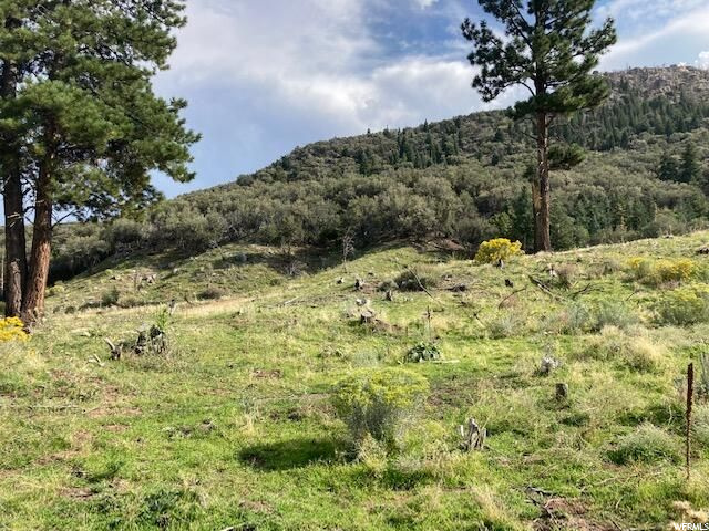 200 W 325 S, Pine Valley, UT 84781 — photo 11