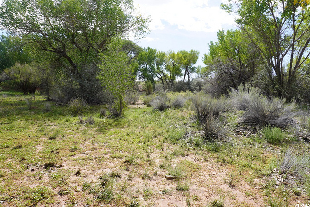 4400 S Notom Rd, Torrey, UT 84775 — photo 3