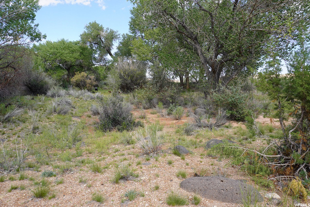 4400 S Notom Rd, Torrey, UT 84775 — photo 5