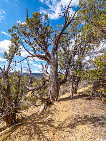 Glendale, UT 84729 — photo 2