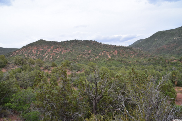 Levan, UT 84639 — photo 11