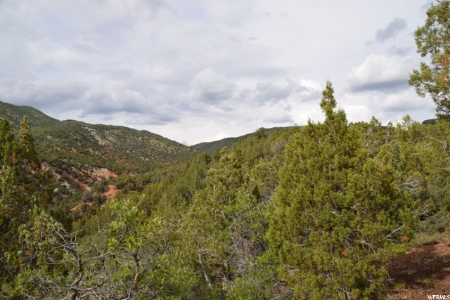 Levan, UT 84639 — photo 3