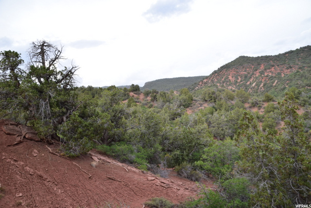 Levan, UT 84639 — photo 6