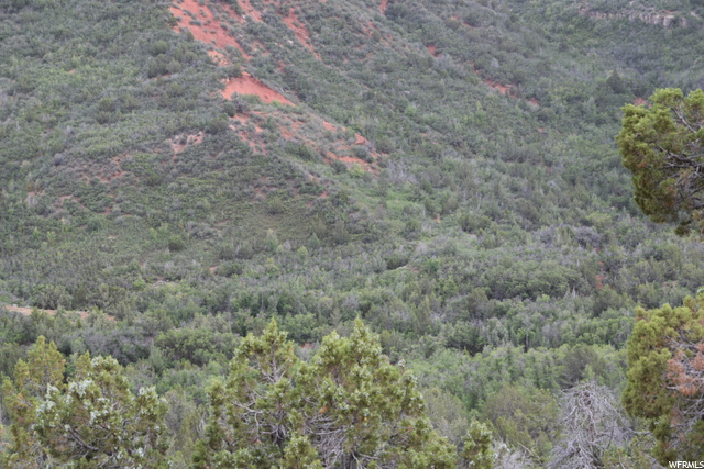 Levan, UT 84639 — photo 8