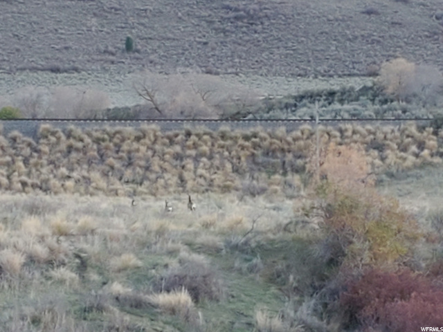 3469 E Hwy 30, McCammon, ID 83250 — photo 4