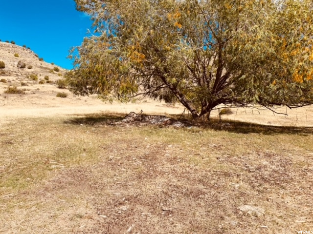 100 S 1600 E, Smithfield, UT 84335 — photo 4