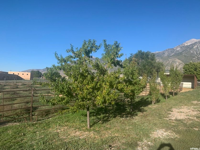 317 S 200 E, Mona, UT 84645 — photo 5