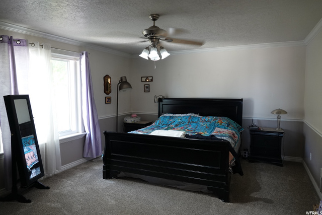 3552 N 800 E, North Ogden, UT 84414 — photo 10