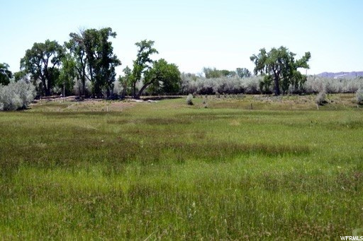 1032 E 500 N #8, Vernal, UT 84078 — photo 4