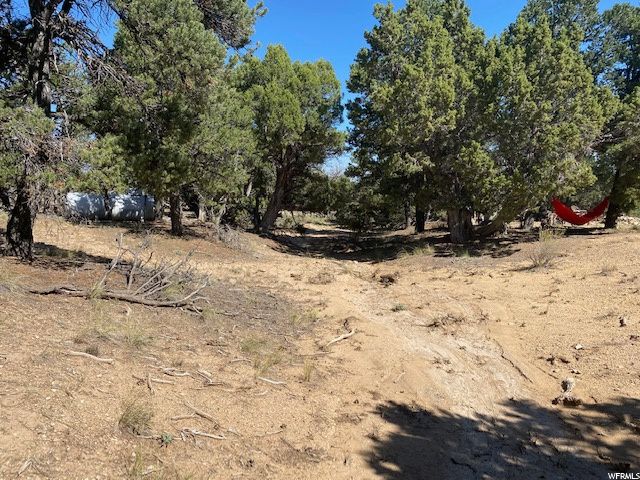 Creek bed