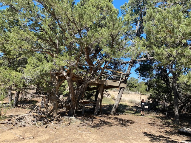 Tree House