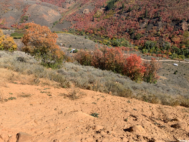 #88, Huntsville, UT 84317 — photo 8