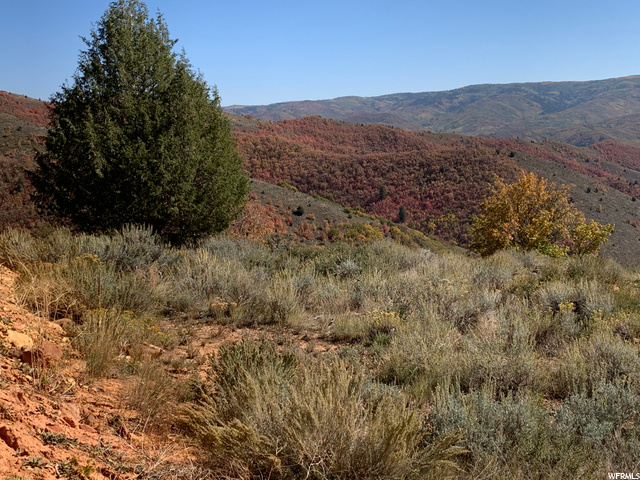 #88, Huntsville, UT 84317 — photo 5