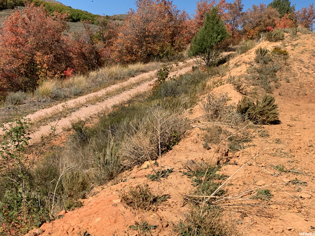 #88, Huntsville, UT 84317 — photo 12