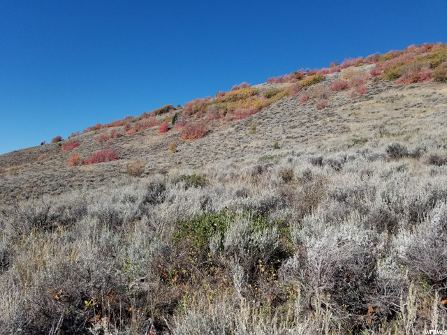 #86, Huntsville, UT 84317 — photo 7