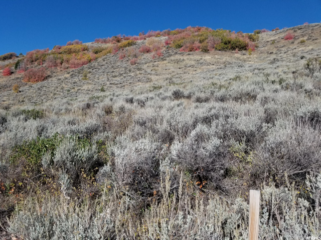 #86, Huntsville, UT 84317 — photo 6