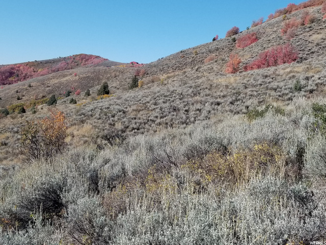 #86, Huntsville, UT 84317 — photo 12