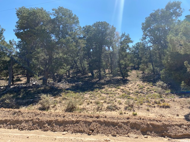 #332+, Fruitland, UT 84027 — photo 2
