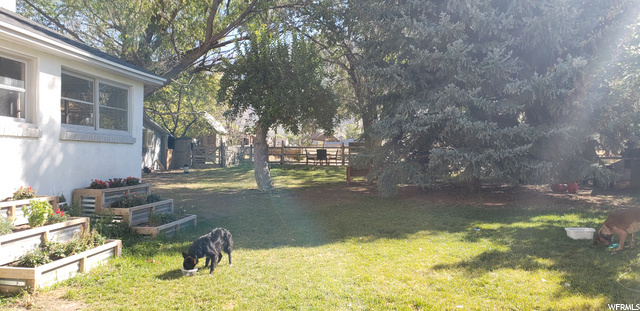 10 N 200 E, Mona, UT 84645 — photo 11