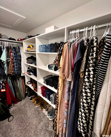 Master Closet