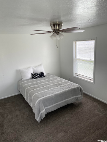 255 Lieb Dr, Joseph, UT 84739 — photo 10