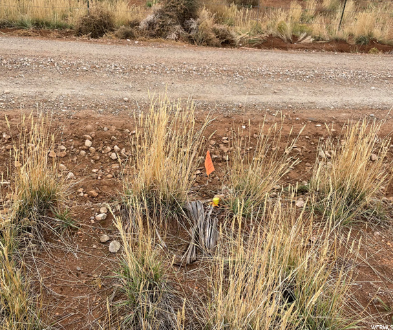 85 E Markle #D, La Sal, UT 84530 — photo 5