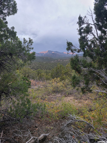 #17, Kanab, UT 84741 — photo 6